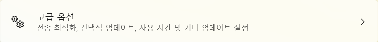 고급 옵션