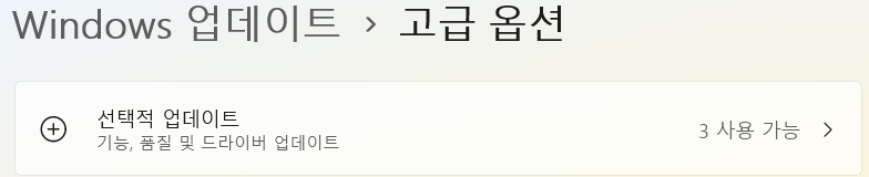 선택적 업데이트